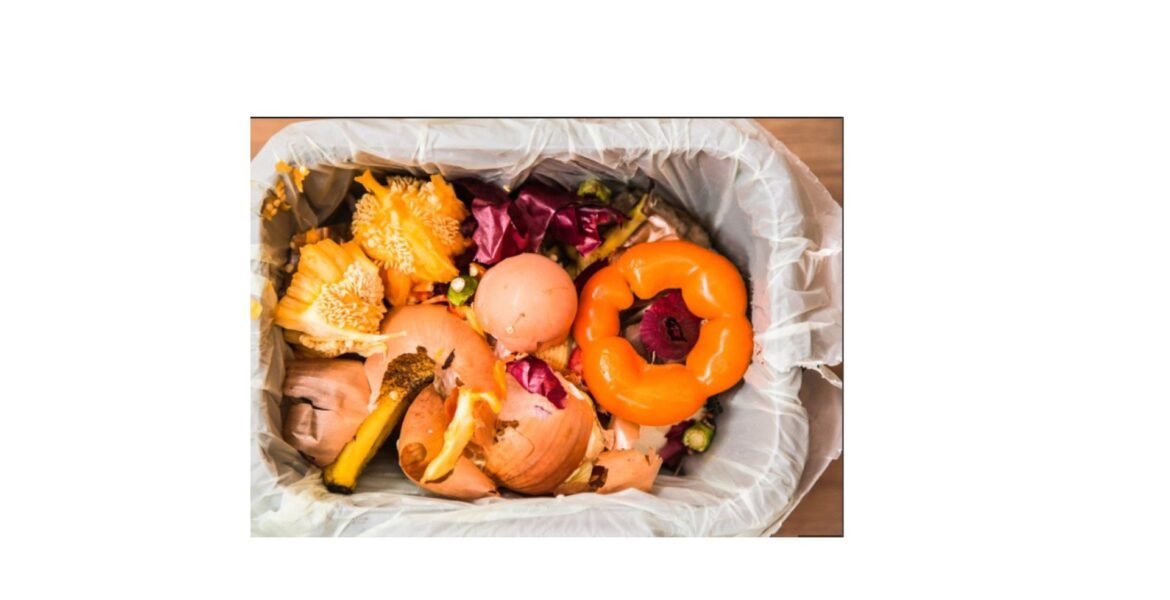 Clever Tips to Save Time and Reduce Food Waste